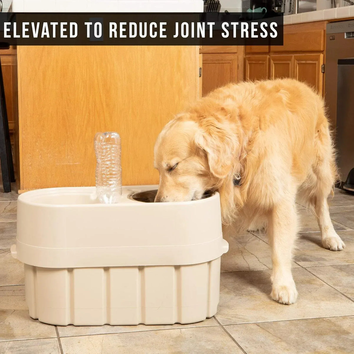 Store-N-Feed Adjustable Raised Dog Bowl, Feeder & Food Storage Containers Large Bowl Stand Adjusts from 8 to 12 (Dog Food Container, Unique Water Dispenser)