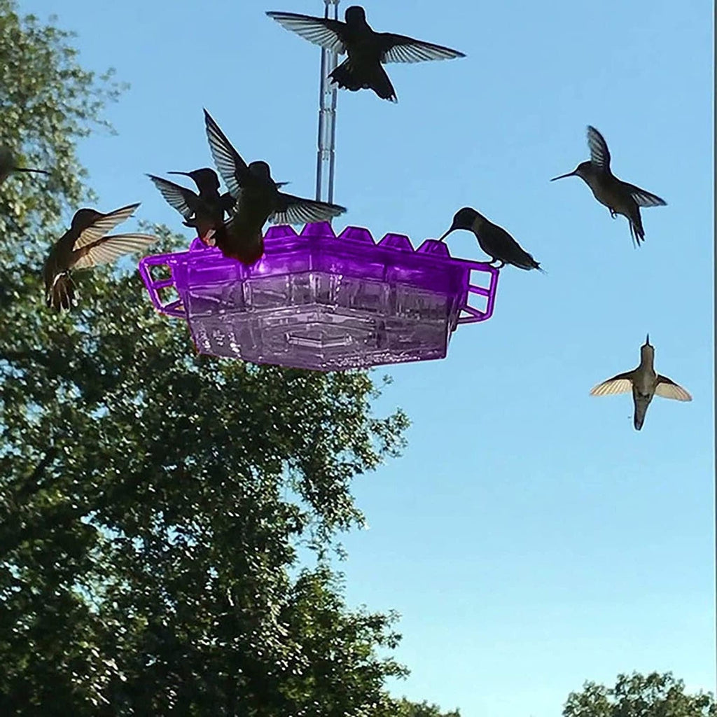 Hanging Hummingbird Feeder with Bee-Resistant Ports and 30 Feeding  Spots