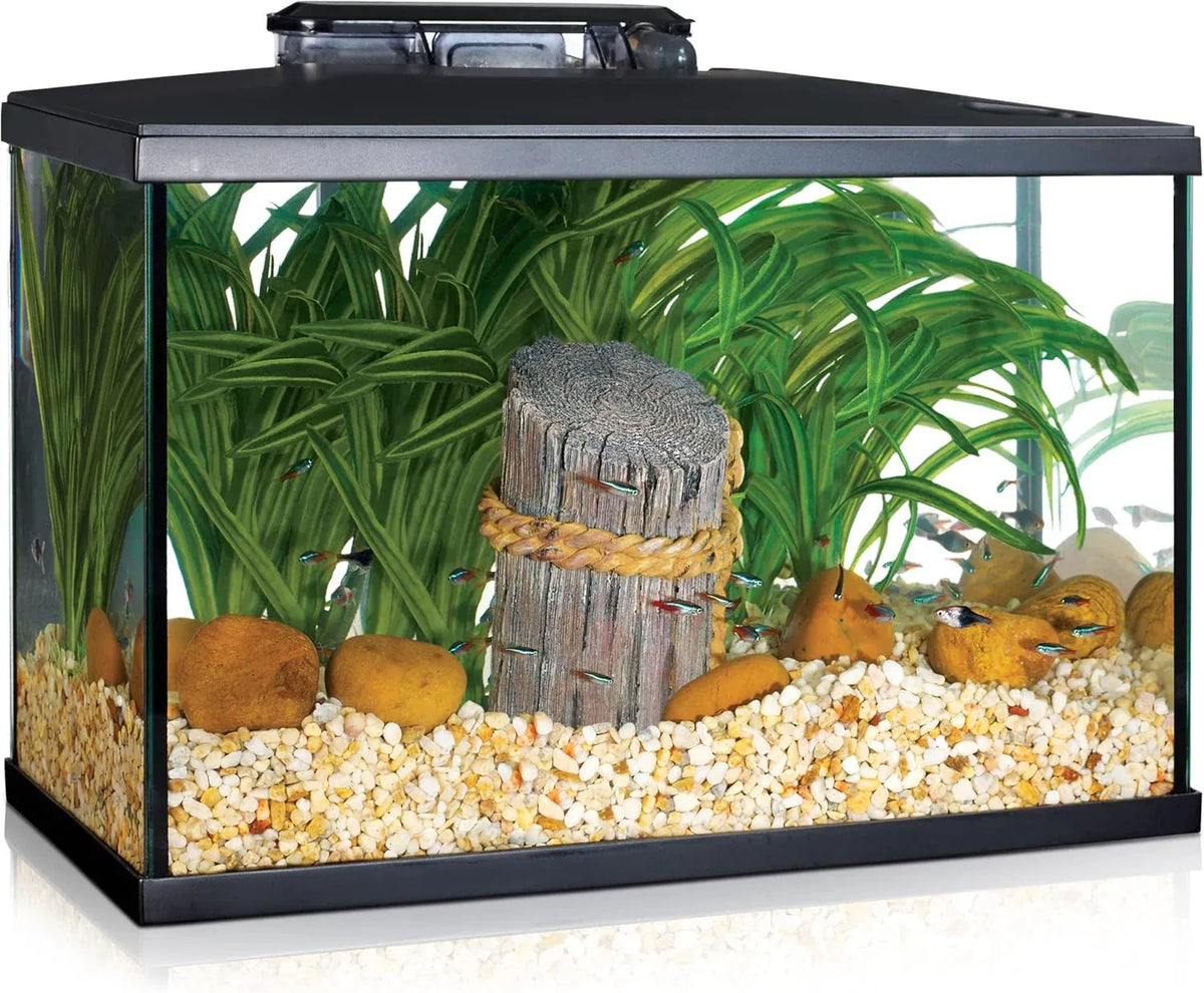 Marina LED Aquarium Kit, 10 gallon