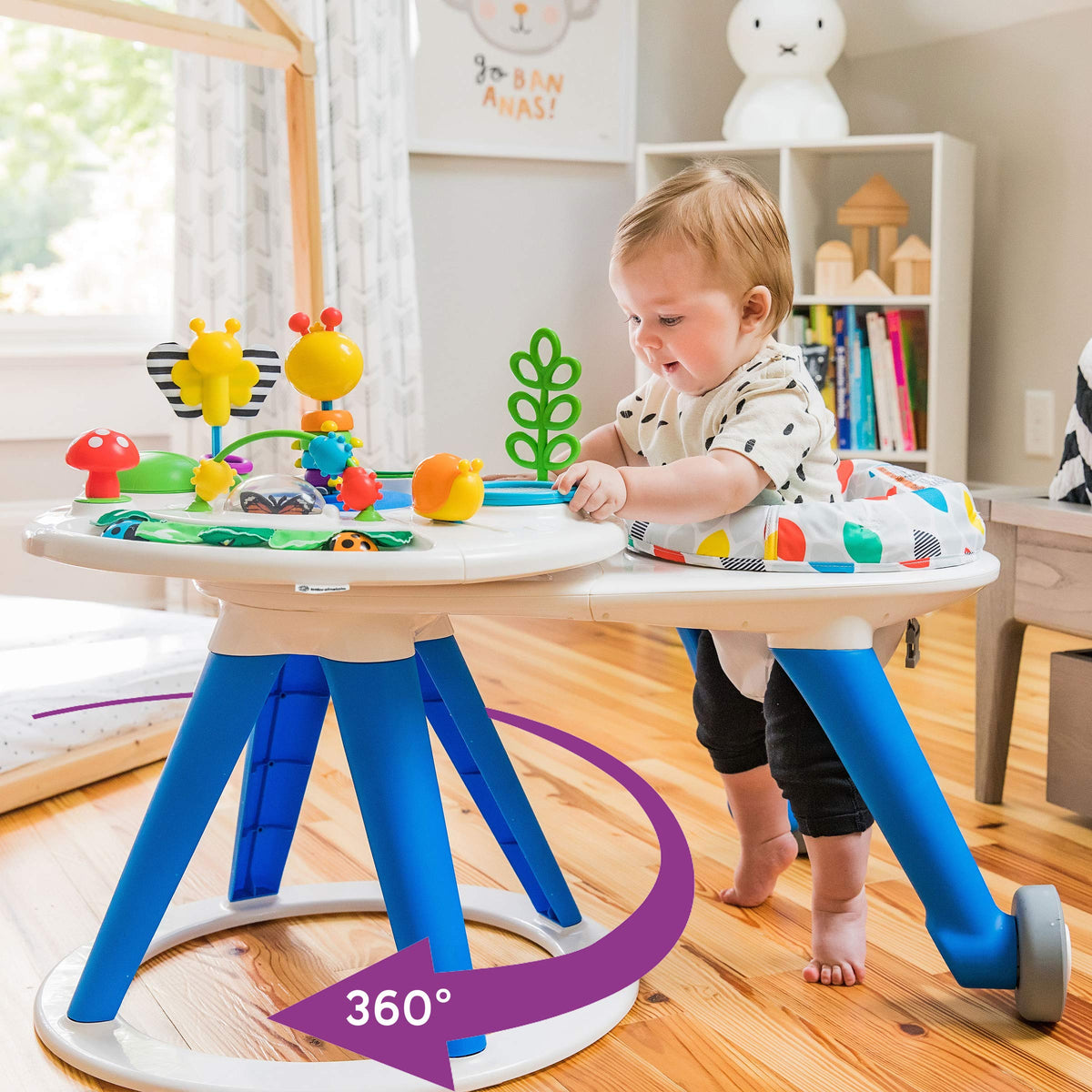 Baby Einstein Around Discovery Activity