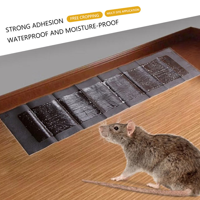 Extra Large Sticky Rodent Pads with Polyurethane Adhesive, Pack of  5