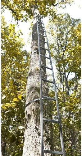 Guide Gear Climbing Ladder for Tree Stands, Climbing Equipment for Deer Hunting, 20’