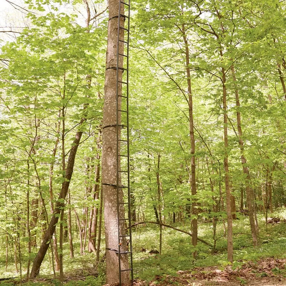 Guide Gear Climbing Ladder for Tree Stands, Climbing Equipment for Deer Hunting, 20’