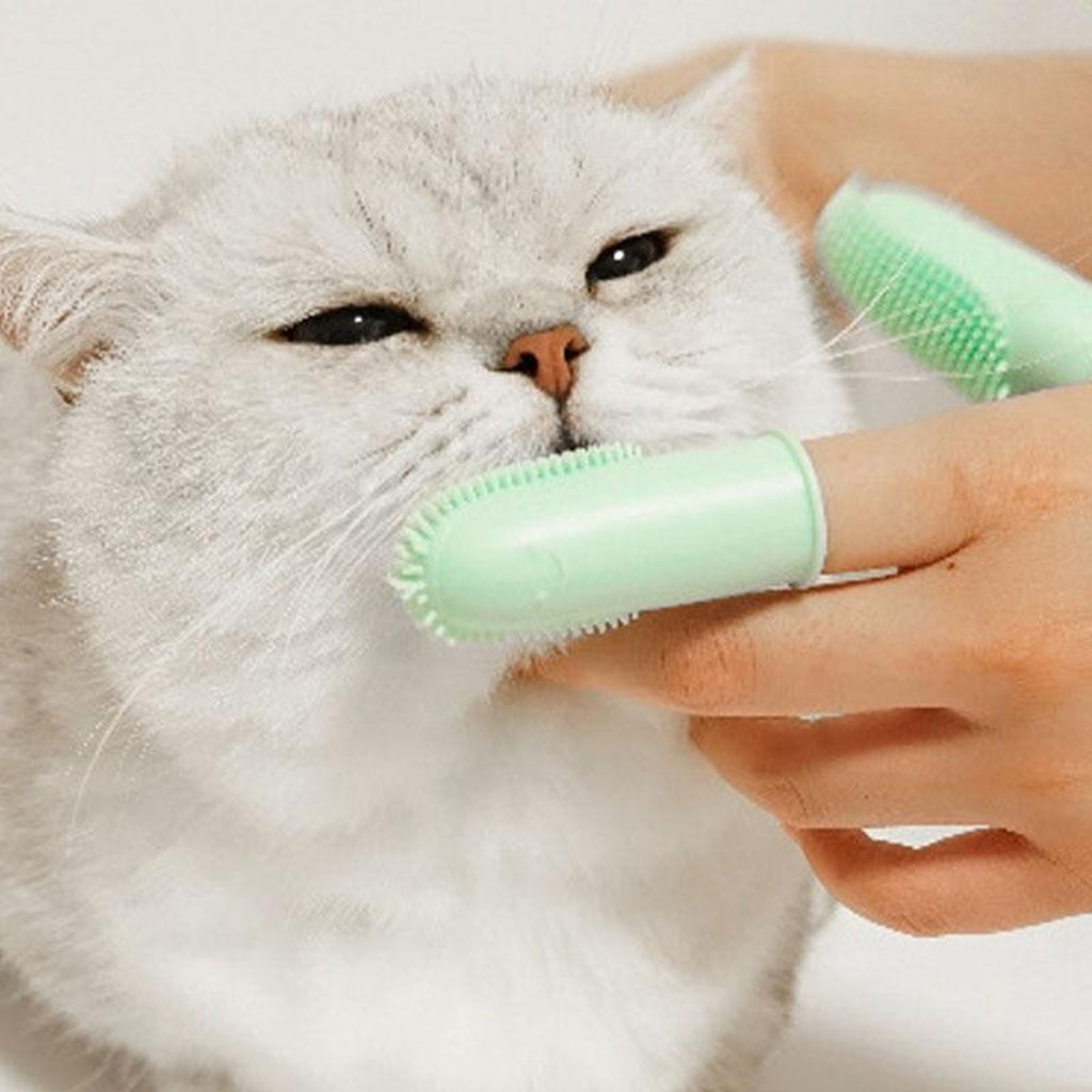 Finger Toothbrush for Dogs and Cats with Dual Design and 800  Bristles