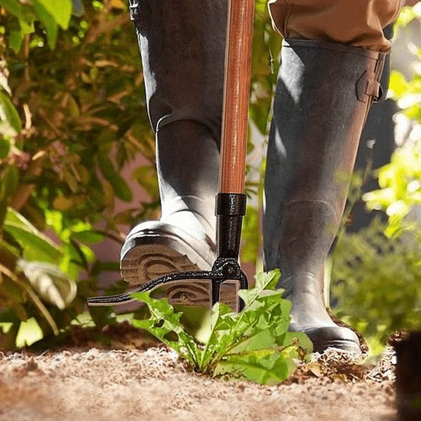 Four Claw Weed Puller with Detachable Head and Ergonomic Grip for Standing  Operation