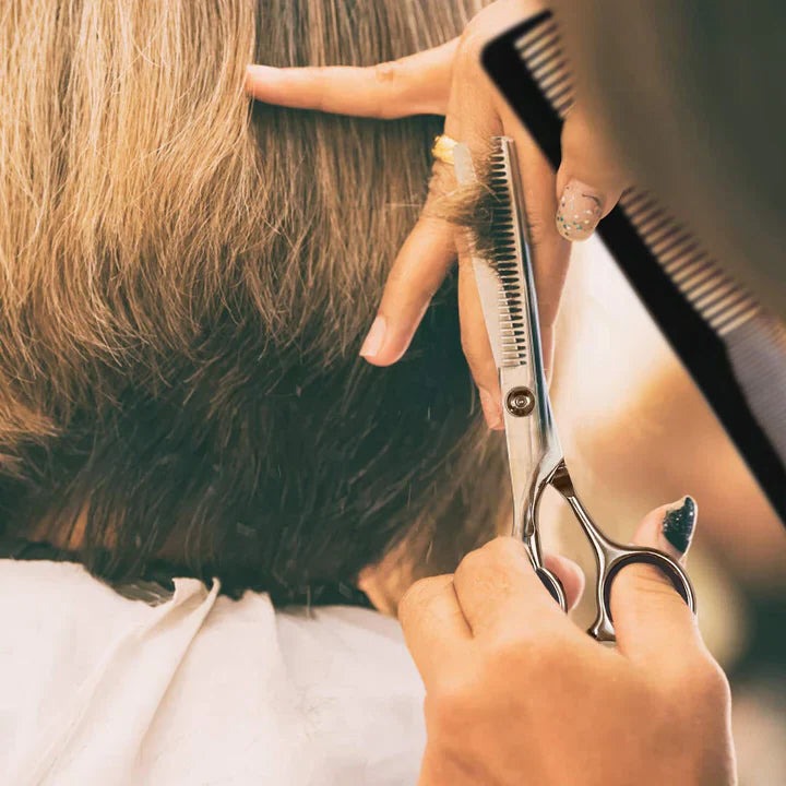 Hair Cutting Scissors Set with Thinning Shears and Styling Combs, 7-Piece  Kit