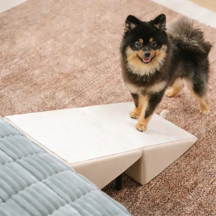 Convertible Dog Ramp with Padded Steps and Suction Cup Base for Beds and  Couches